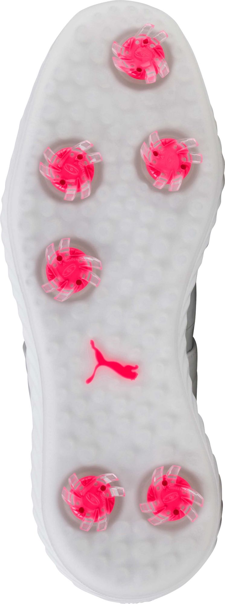 ignite blaze sport disc