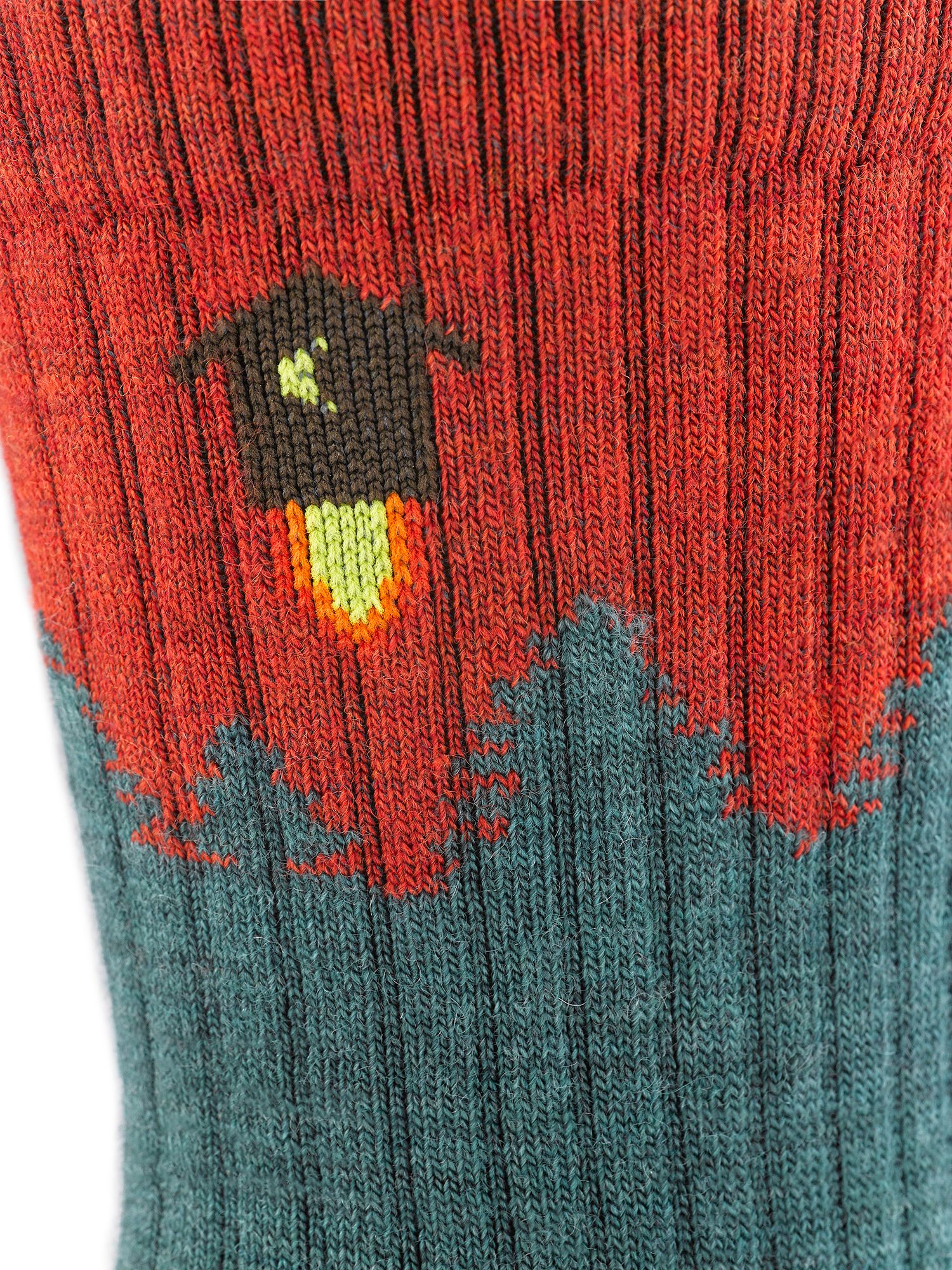 Darn Tough Number 2 Micro Crew Midweight Hiking Socks product image