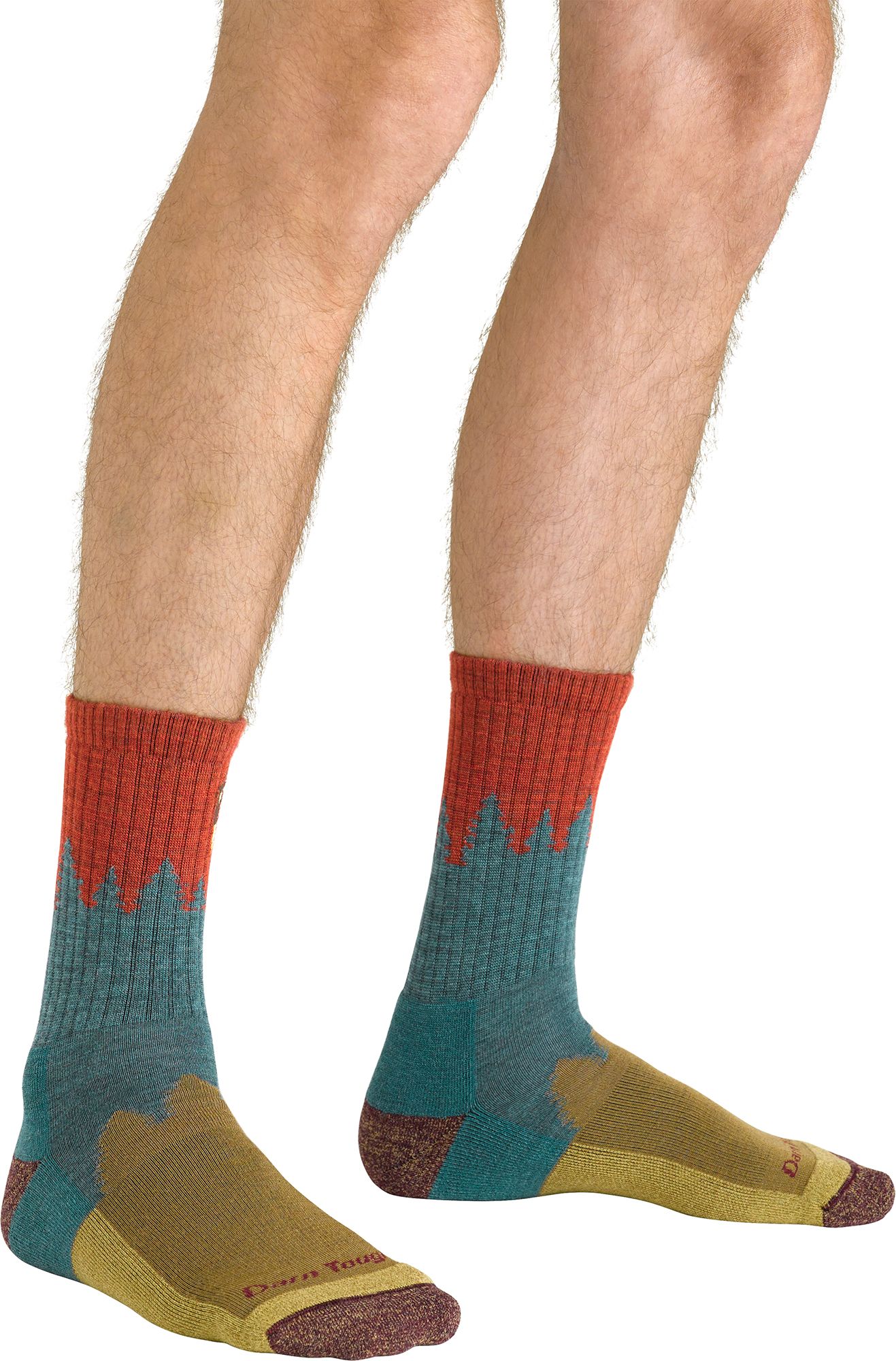 Darn Tough Number 2 Micro Crew Midweight Hiking Socks product image