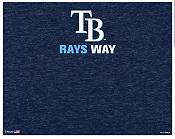 Wincraft Adult Tampa Bay Rays Split Neck Gaiter product image