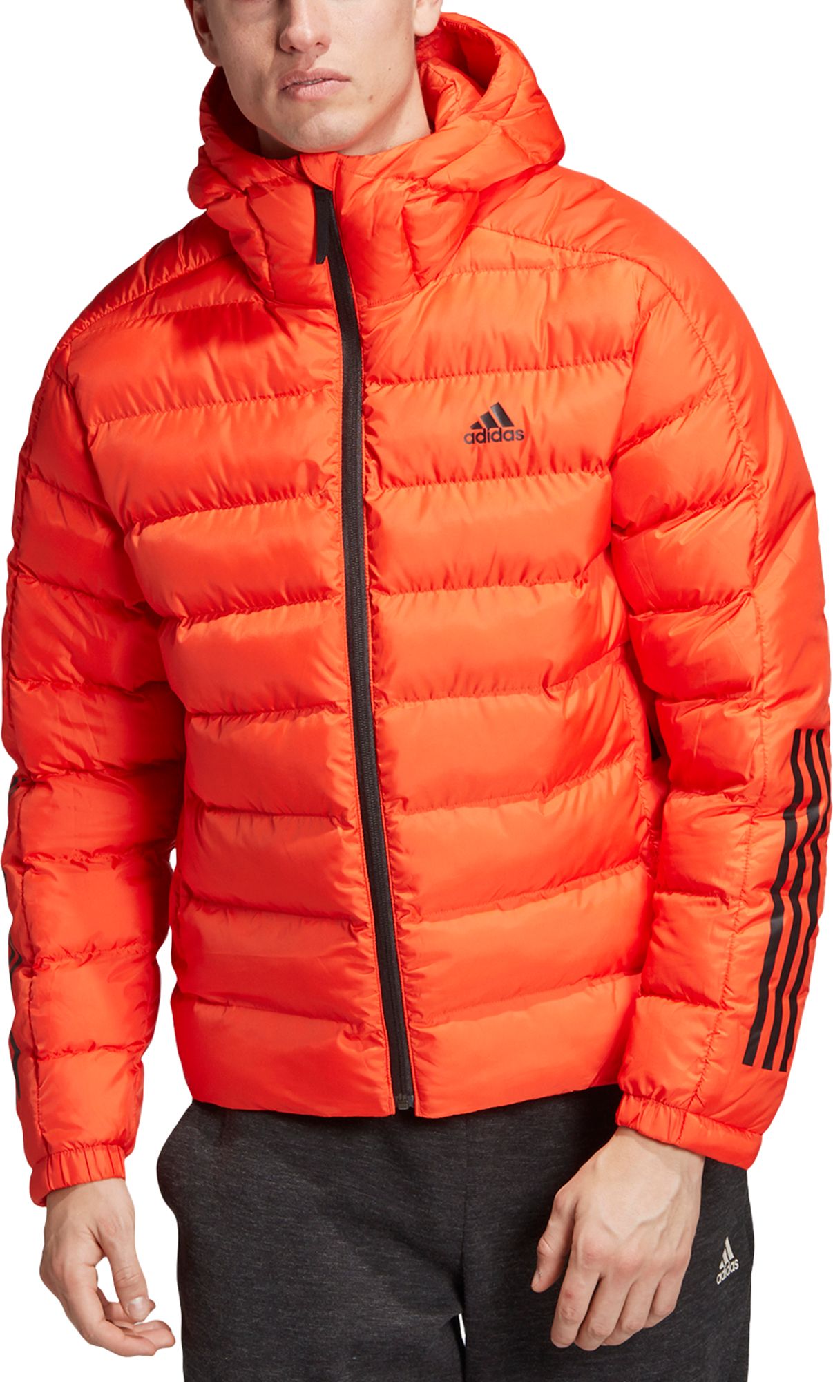 adidas men's jacket with hood