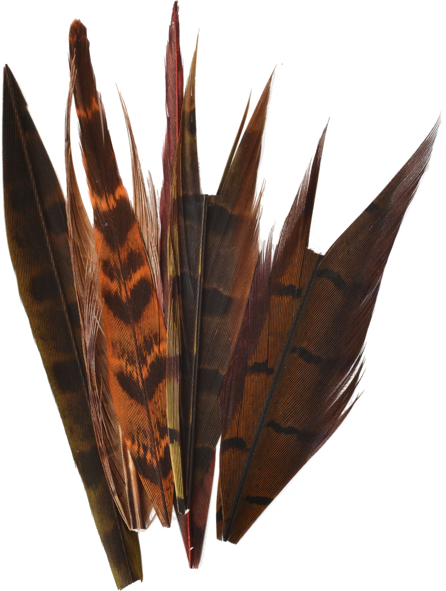 Perfect Hatch Ringneck Pheasant Tail product image