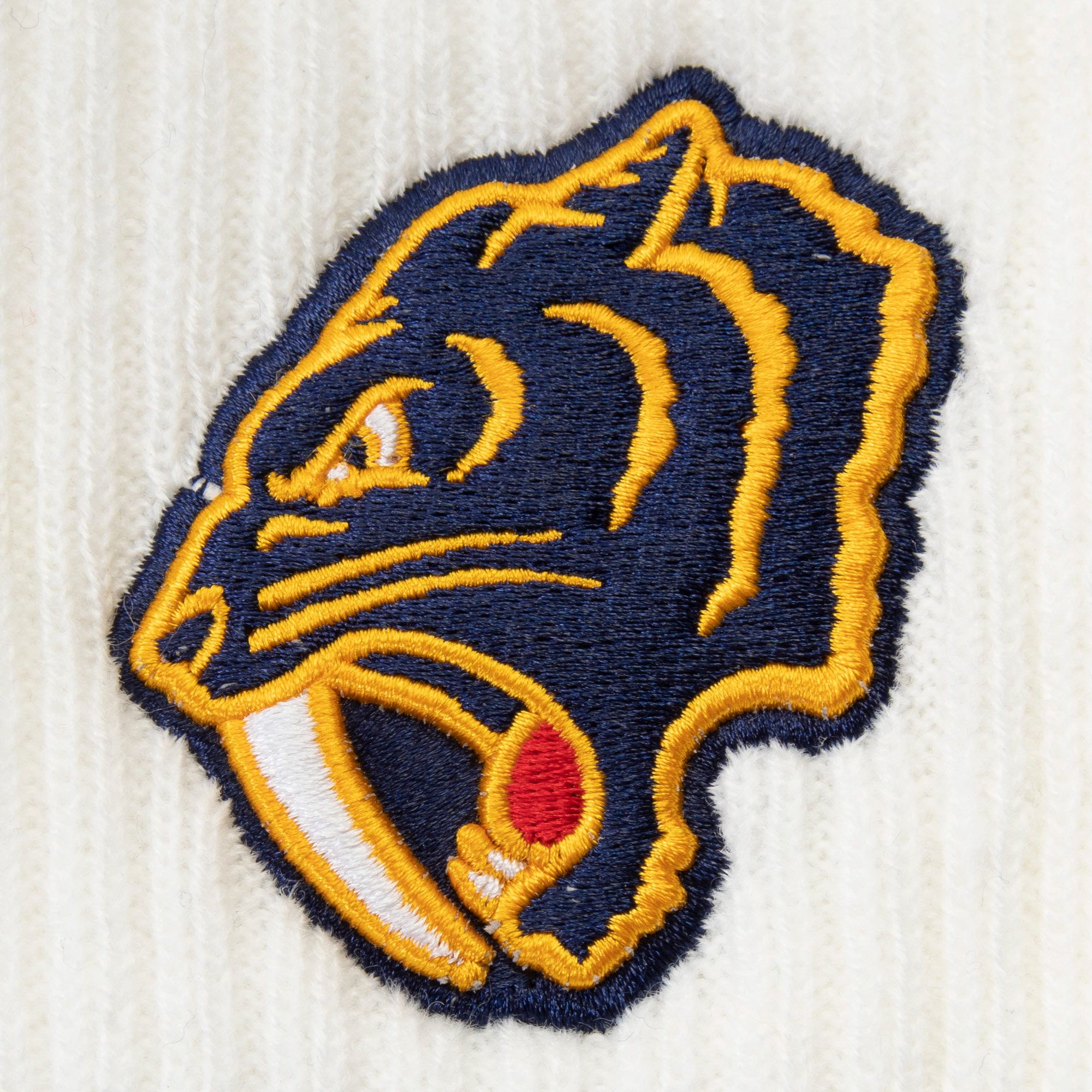 NHL Men's 2020 Winter Classic Nashville Predators Team Pom Knit Beanie product image