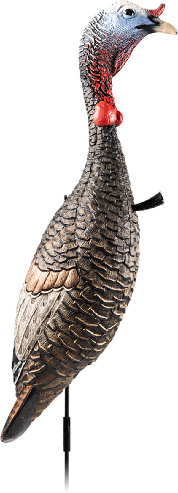 Flextone Funky Chicken Gen 2 Turkey Decoy