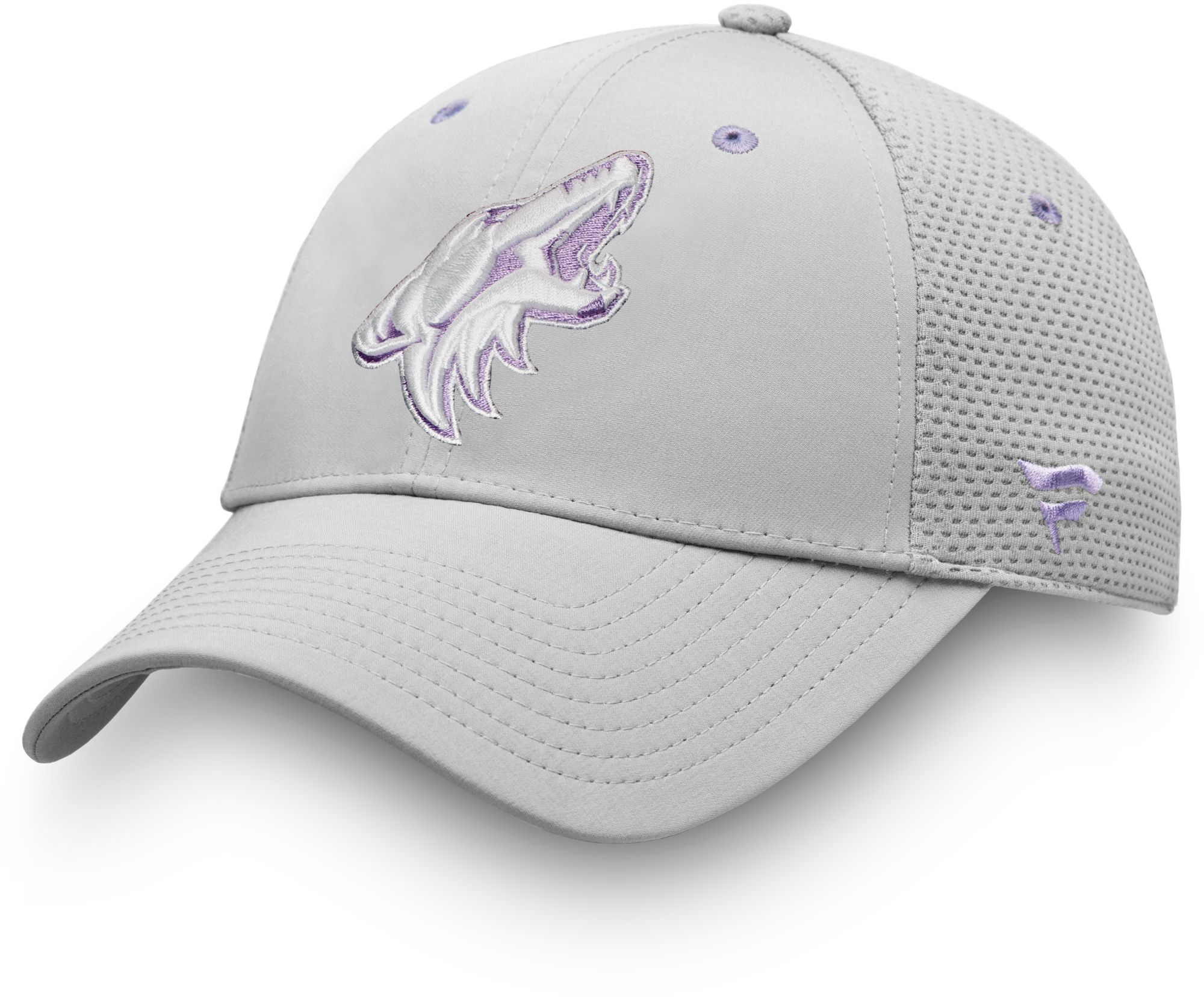 arizona coyotes hockey fights cancer