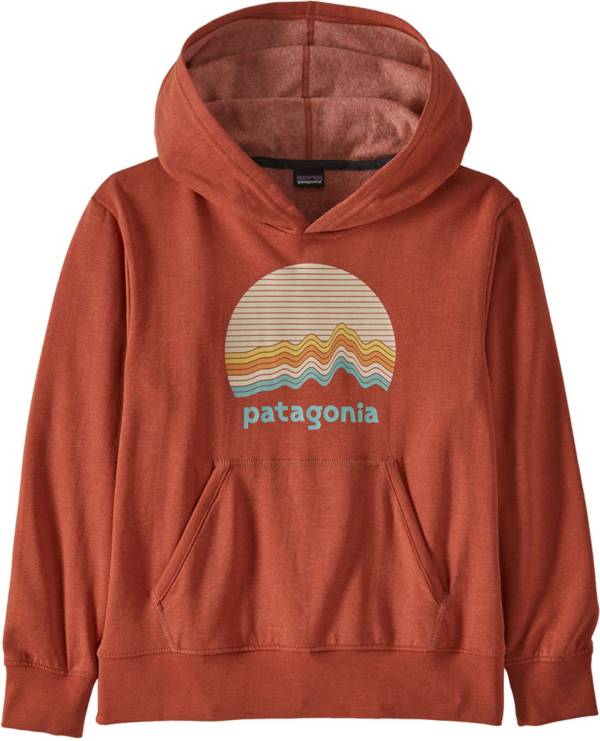 Patagonia Boys' Lightweight Graphic Hoodie | Dick's Sporting Goods