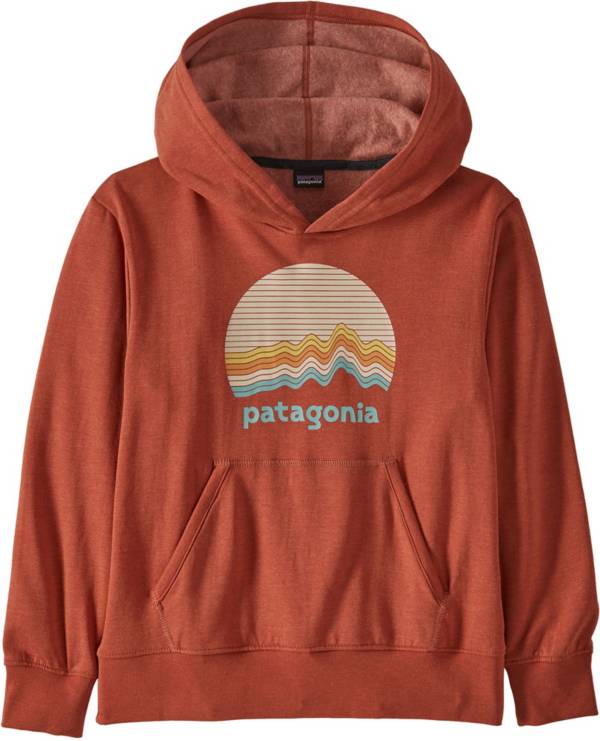 Patagonia Boys' Lightweight Graphic Hoodie product image