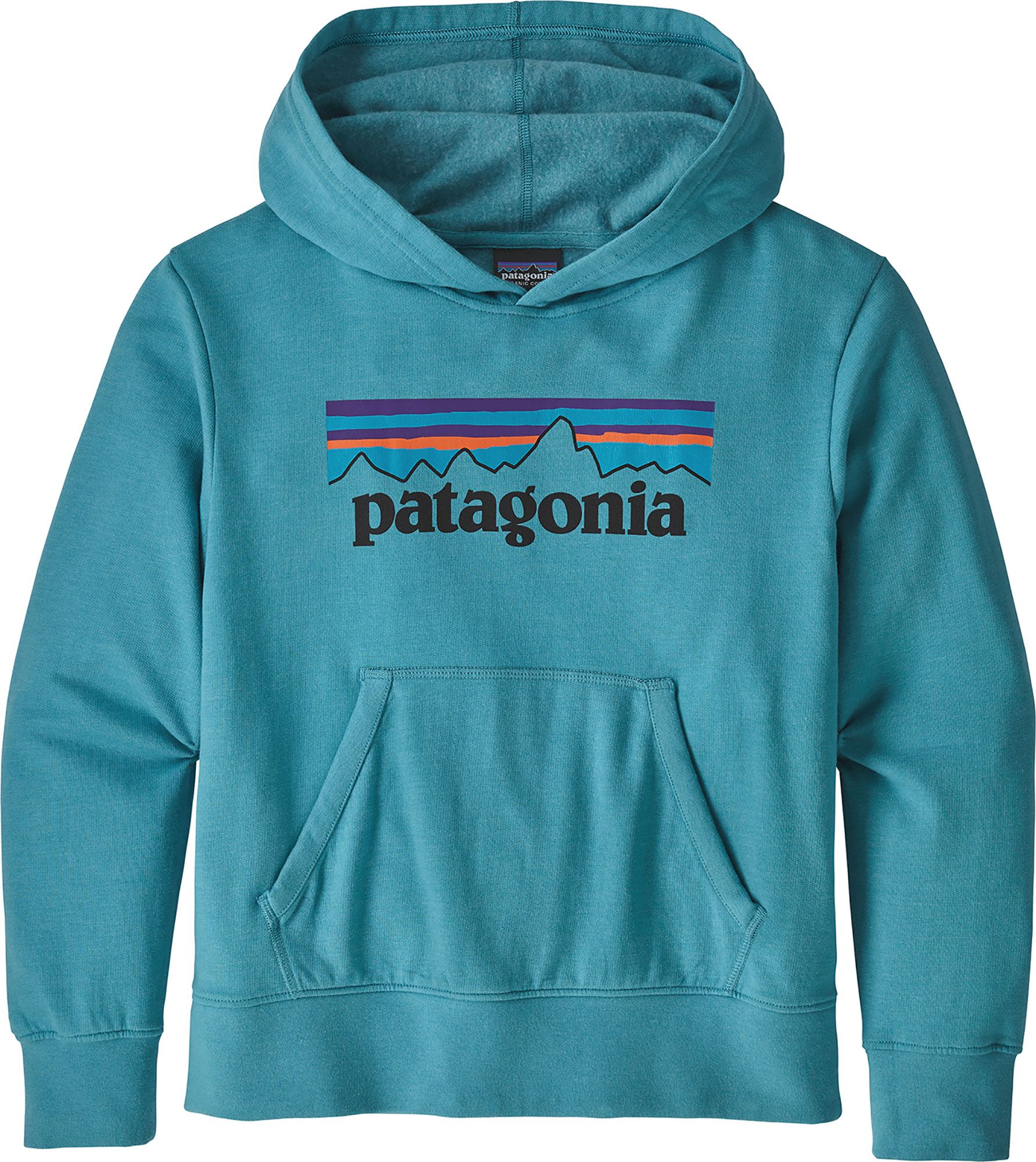 blue patagonia hoodie