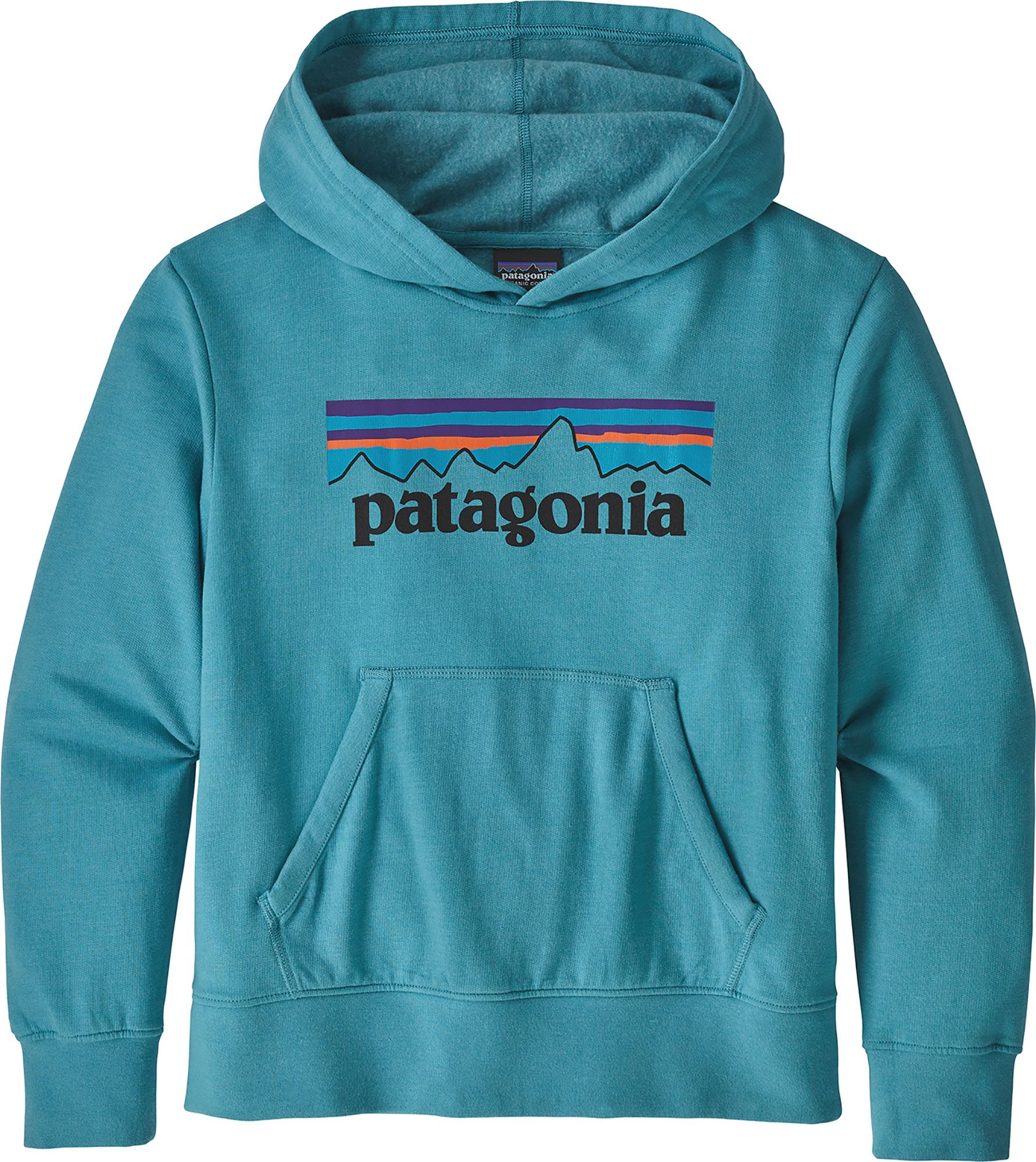 blue patagonia sweatshirt