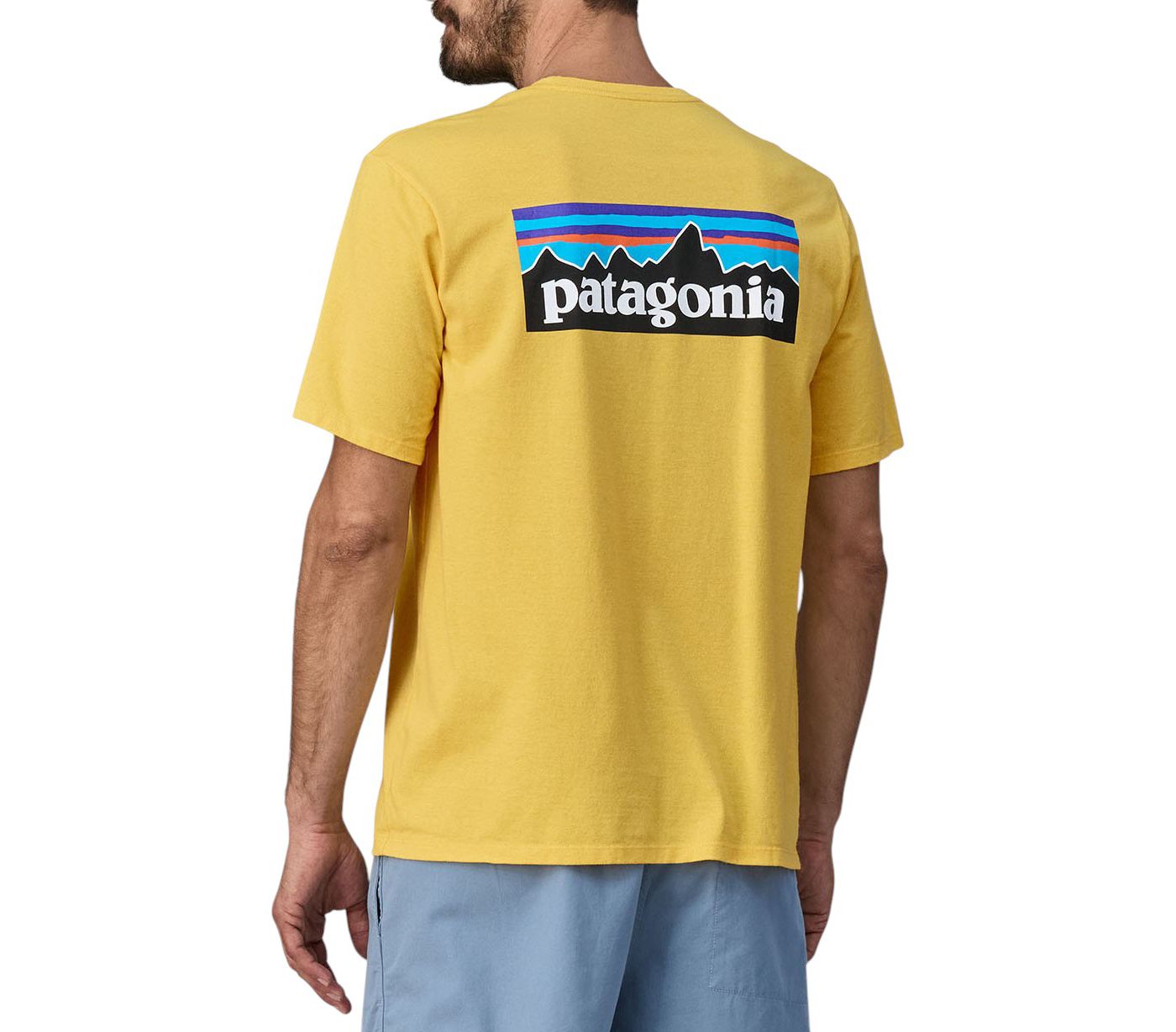 Patagonia p6 t shirt best sale