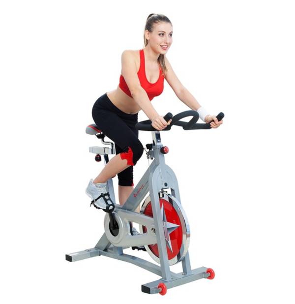 Sunny Health Fitness Flywheel Chain Drive Pro Indoor Bike