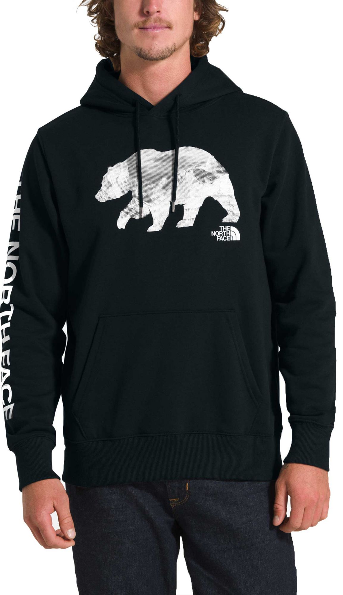 the north face men's pullover big bear hoodie