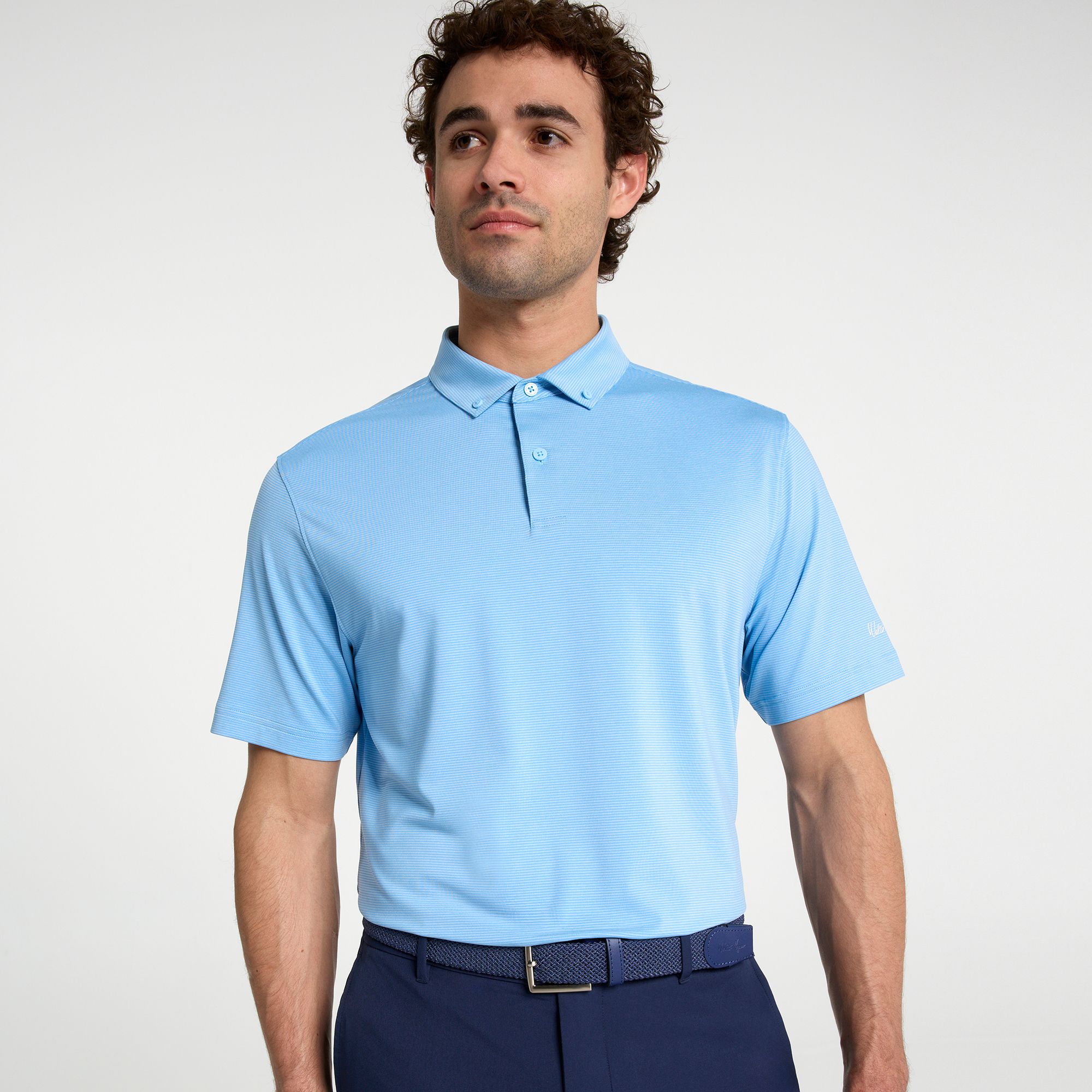 Walter Hagen Men's Performance 11 Championship Stripe Golf Polo product image