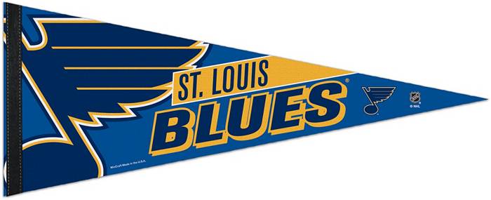  aminco NHL St. Louis Blues Team Lanyard : Sports & Outdoors