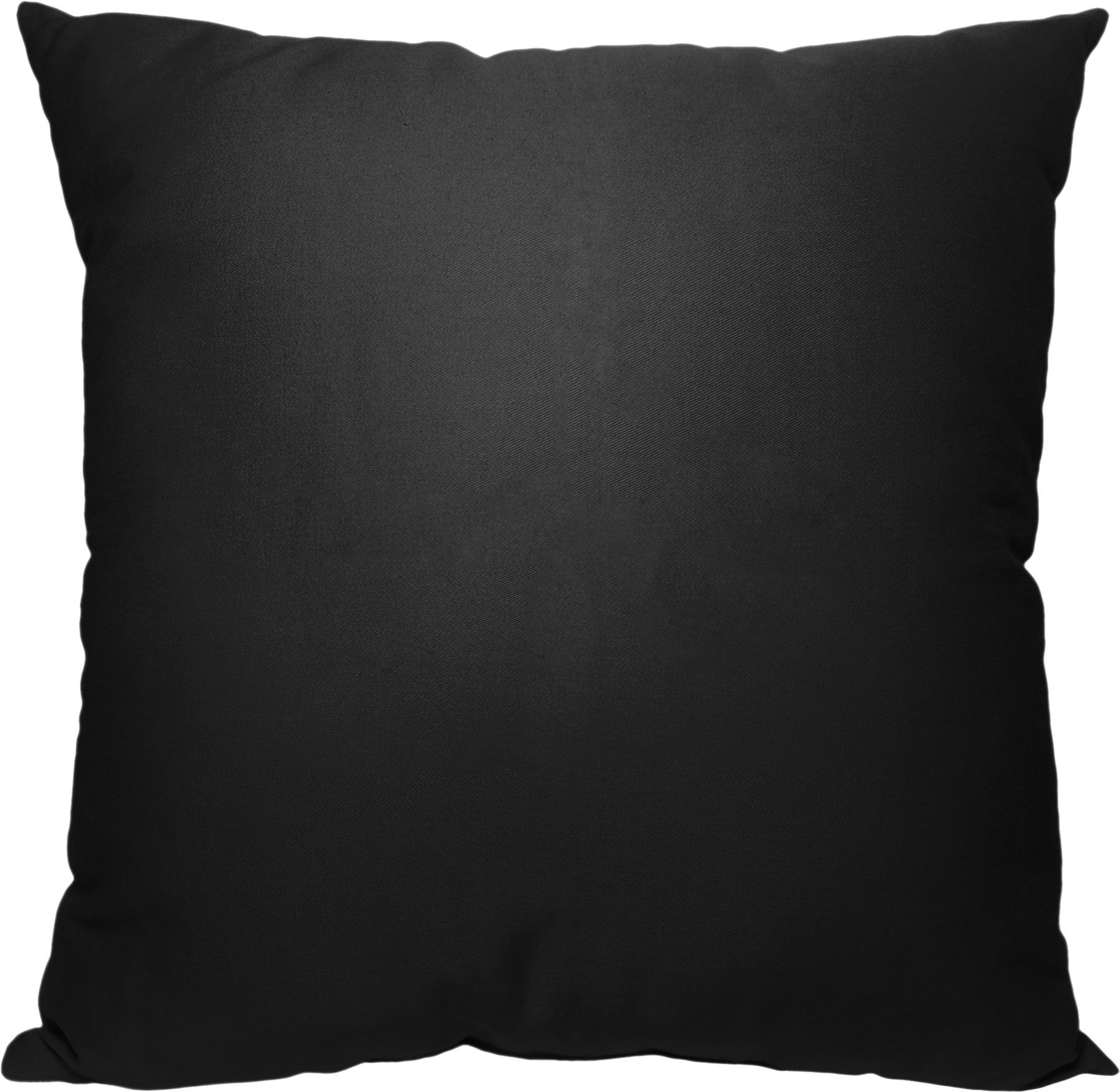 TheNorthwest Florida Gators OHT Pillow product image