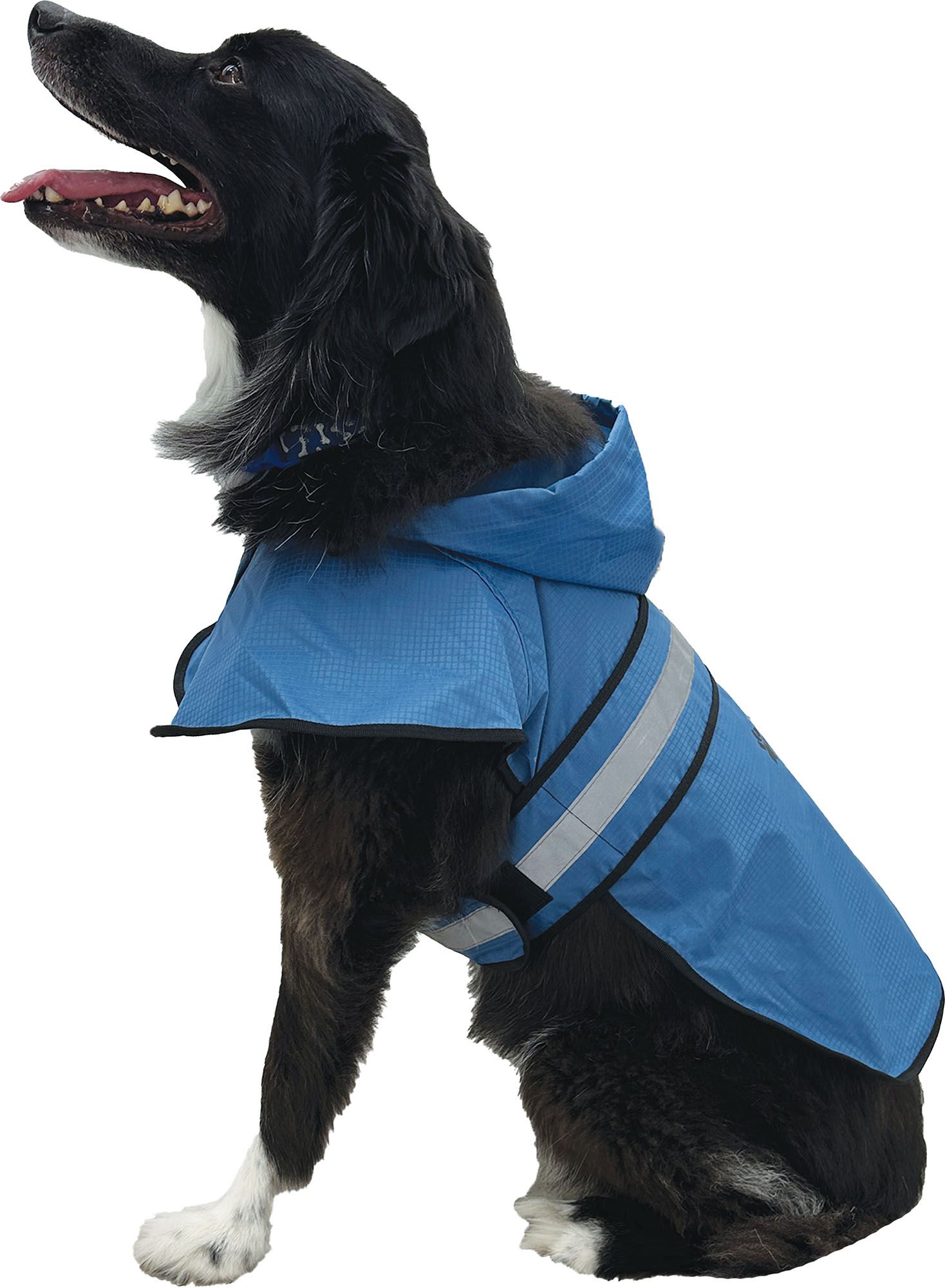 Frogg Toggs Dogg Toggs Raincoat product image