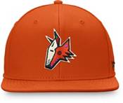 NHL Arizona Coyotes '22-'23 Special Edition Flex Hat product image