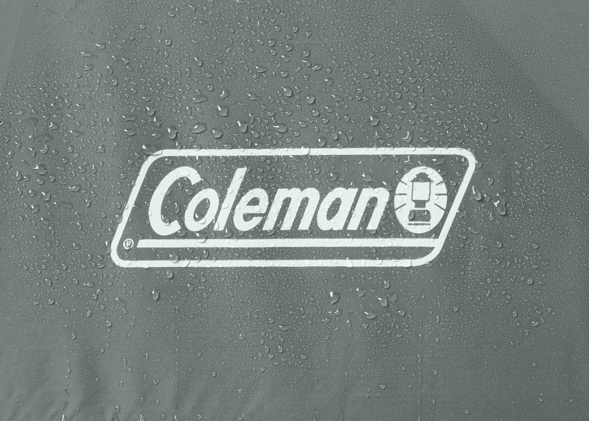 Coleman Skydome 6-Person Camping Tent With Screen Room product image