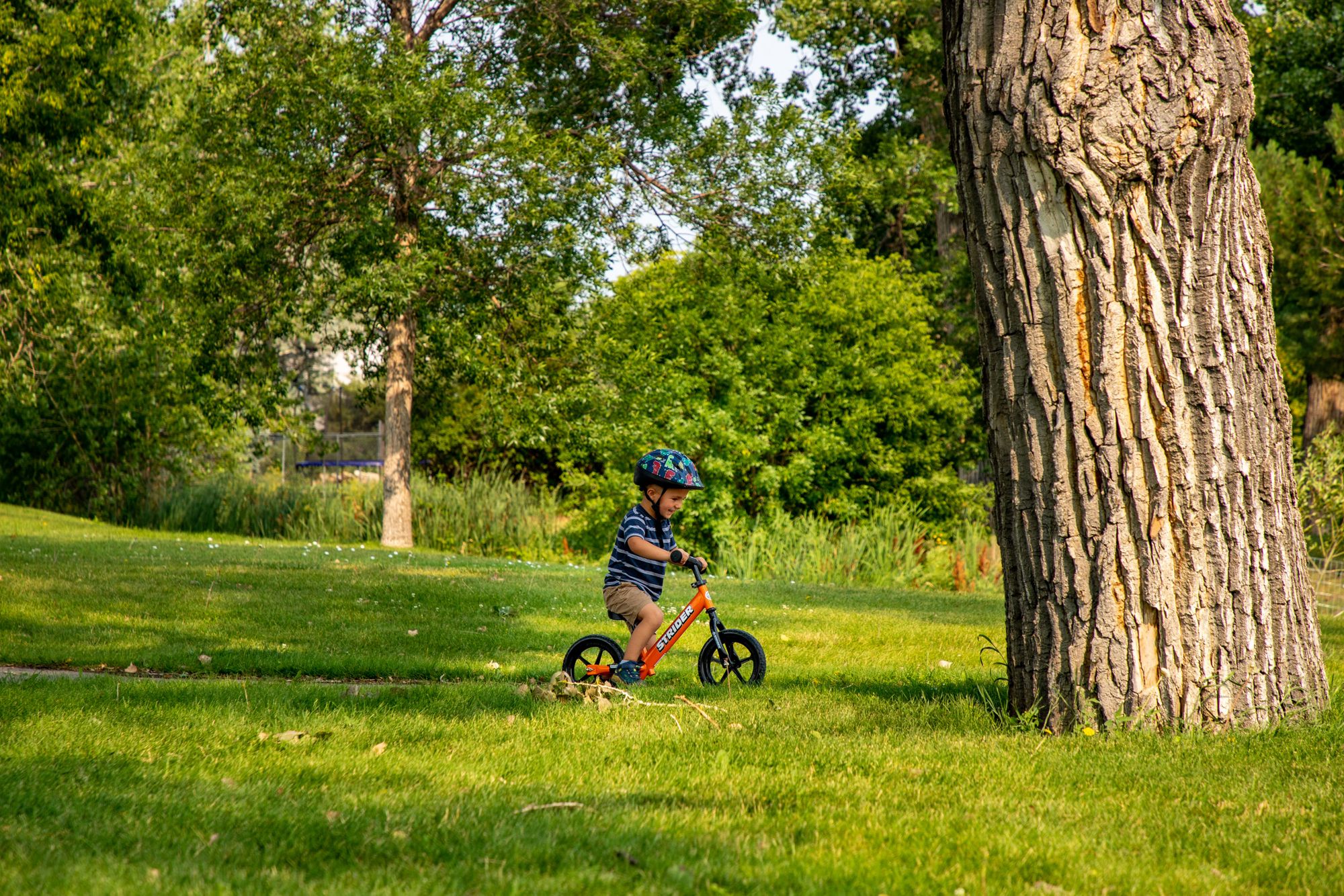 STRIDER Sport No-Pedal Balance 12" Bike product image
