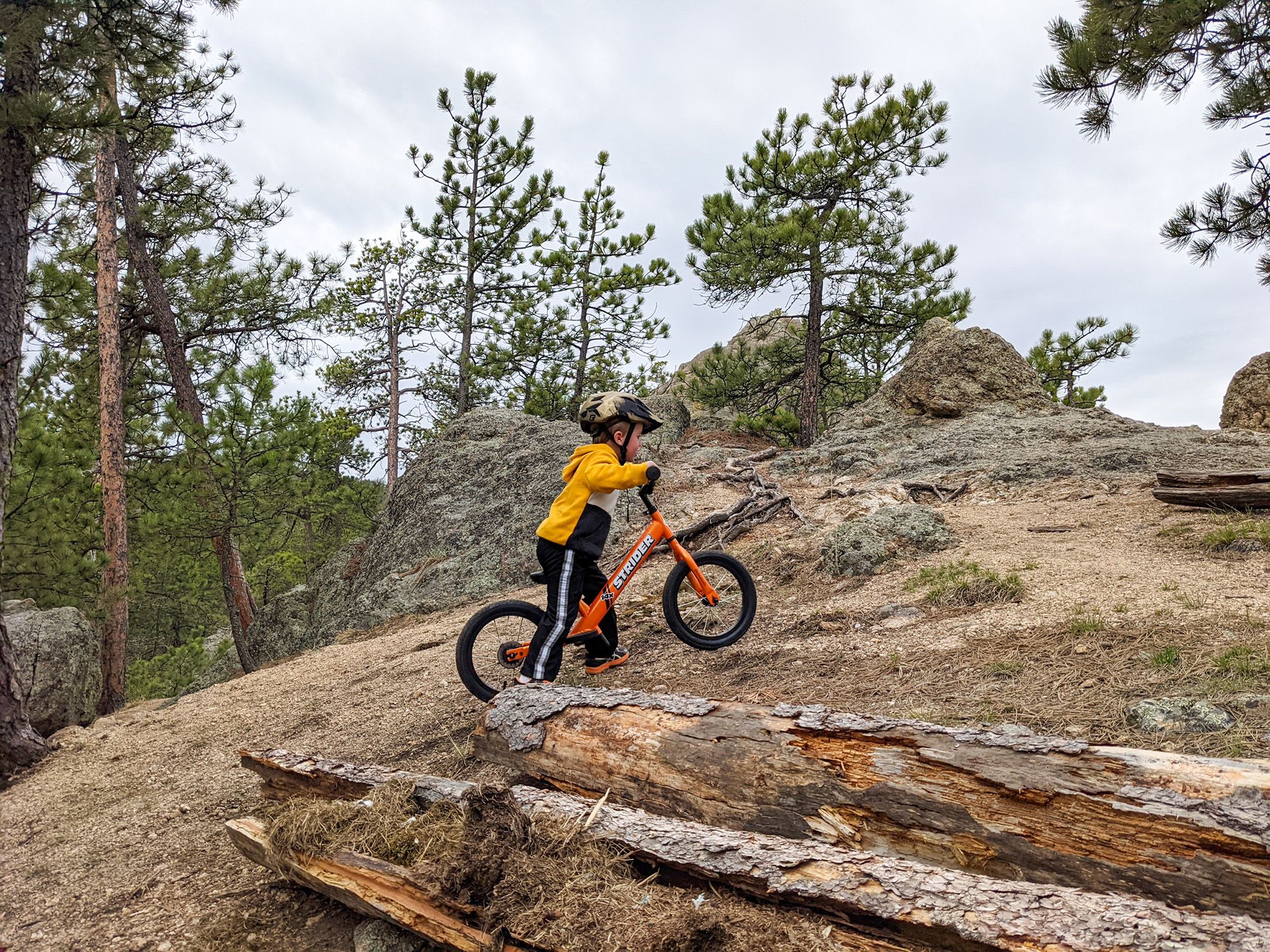 STRIDER 14x Classic Convertible Bike product image