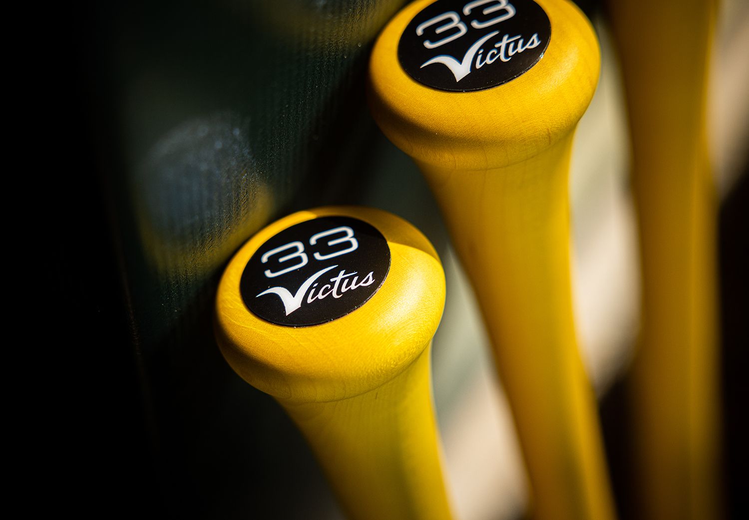 Victus "J-Rod" Julio Rodriguez Pro Reserve Maple Bat product image