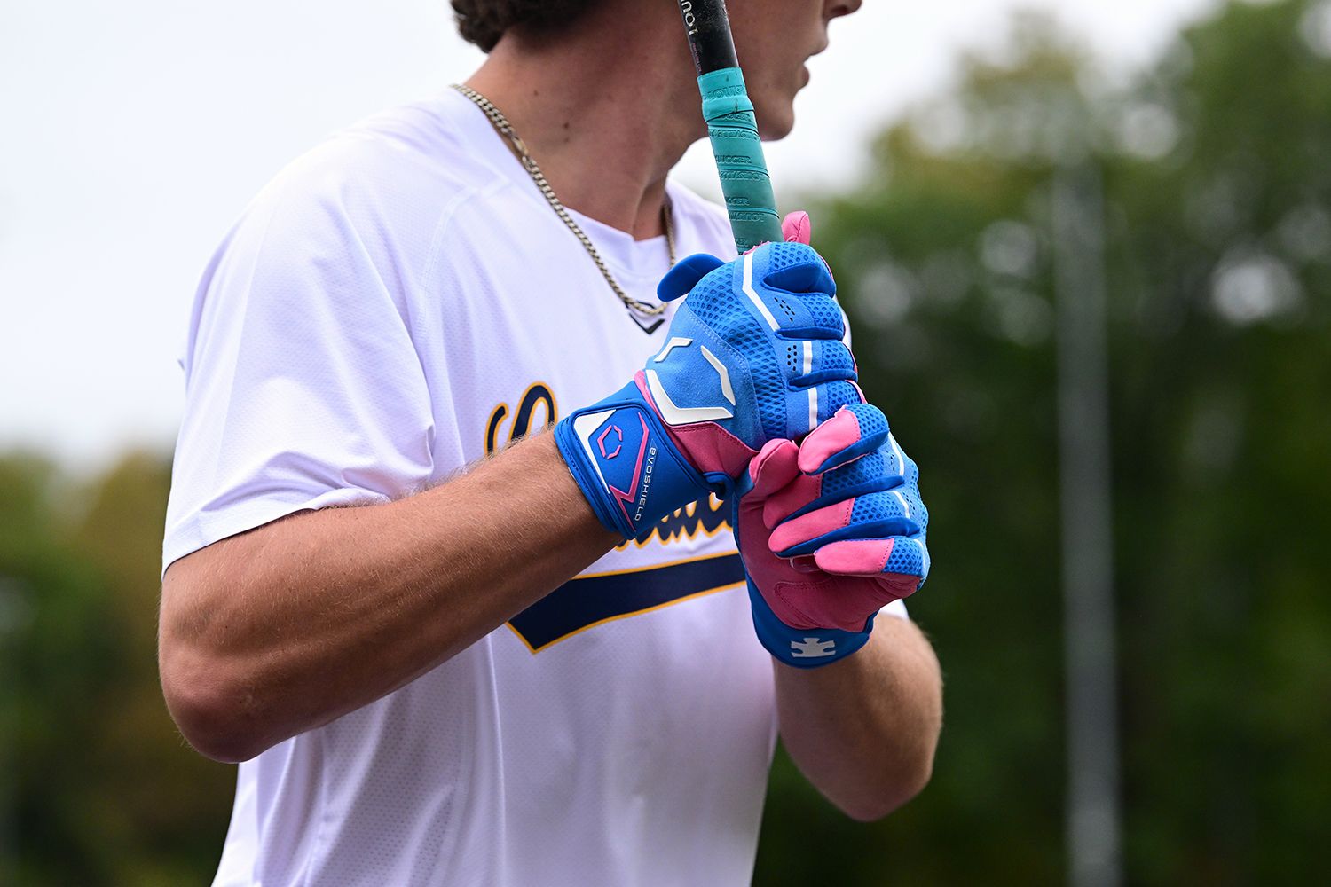 Evoshield Youth Carbyne "Love the Moment" Batting Gloves product image