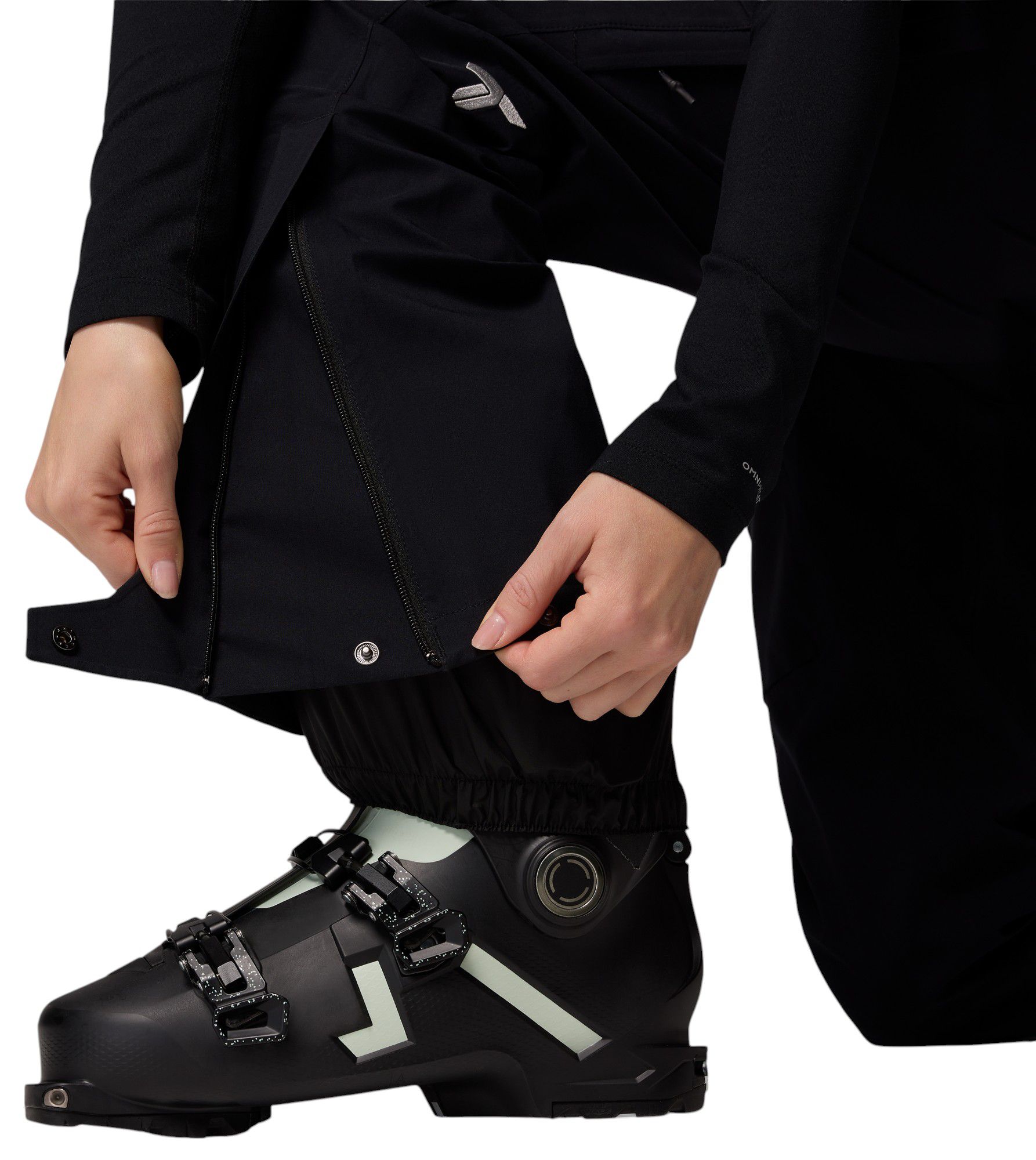 Columbia Women's Platinum Peak II 3L Pant product image