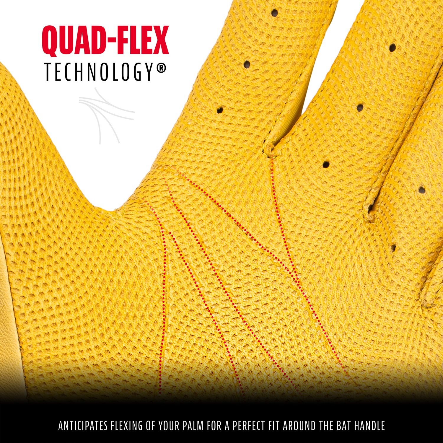 Franklin Adult CFX Pro Batting Gloves product image