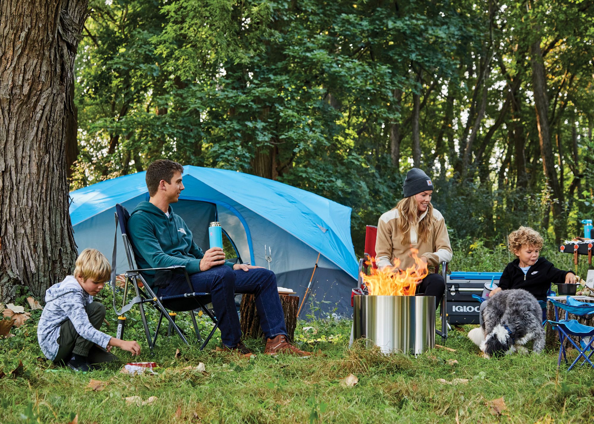 Quest Switchback 8-Person Cross Vent Dome Tent product image