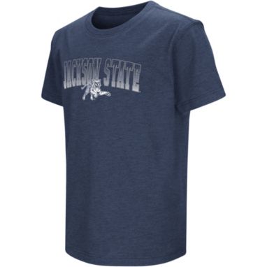 sorry, Colosseum Youth Jackson State Tigers Navy Blue Playbook T-Shirt is currently out of stock
