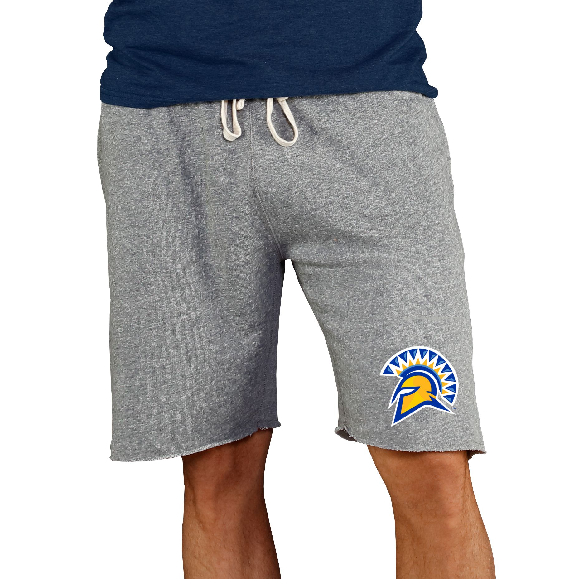 Concepts Sport Men's San Jose State  Spartans Charcoal Mainstream Shorts