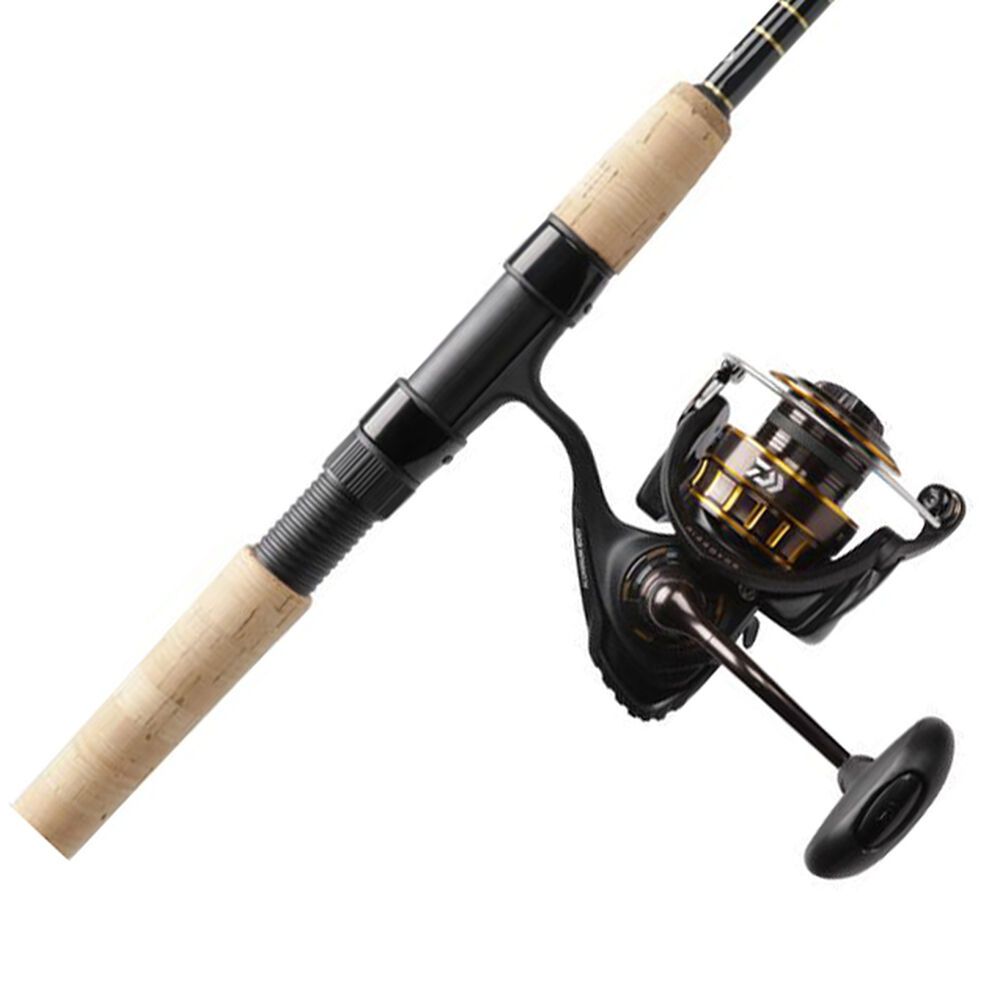 Daiwa BG Inshore Spinning Combo product image