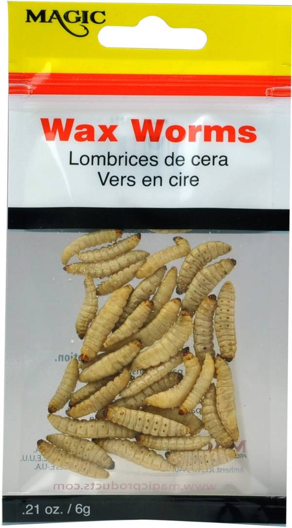 download live wax worms