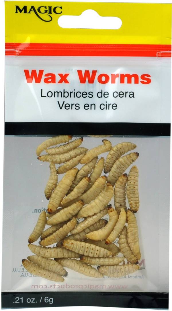 download live wax worms for sale