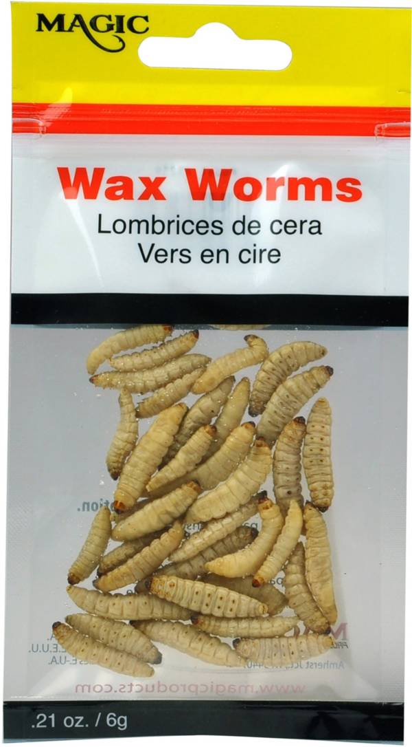 Magic Preserved Wax Worms