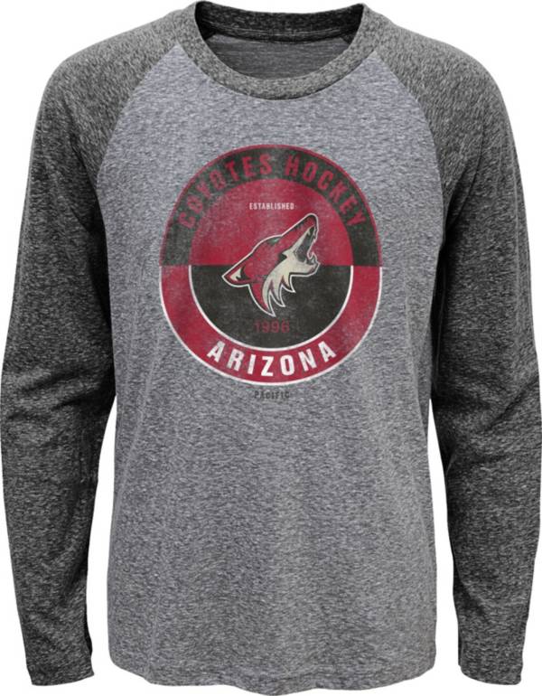 NHL Youth Arizona Coyotes Split Grey Raglan T-Shirt product image
