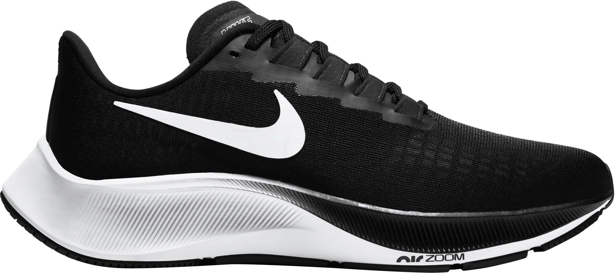 dicks sporting goods nike pegasus