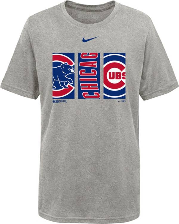 Nike Youth Chicago Cubs Gray Triptych Legend Dri-FIT T-Shirt