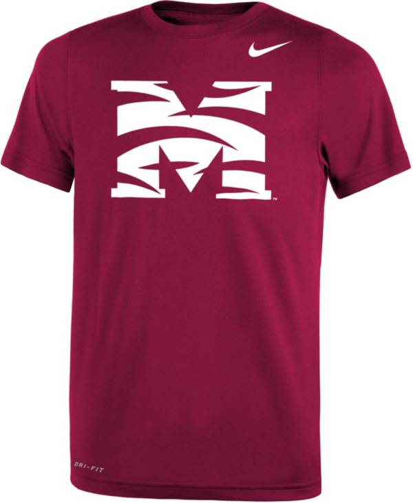 Men's Minnesota Twins Nike Red Legend Primary Logo Performance T-Shirt