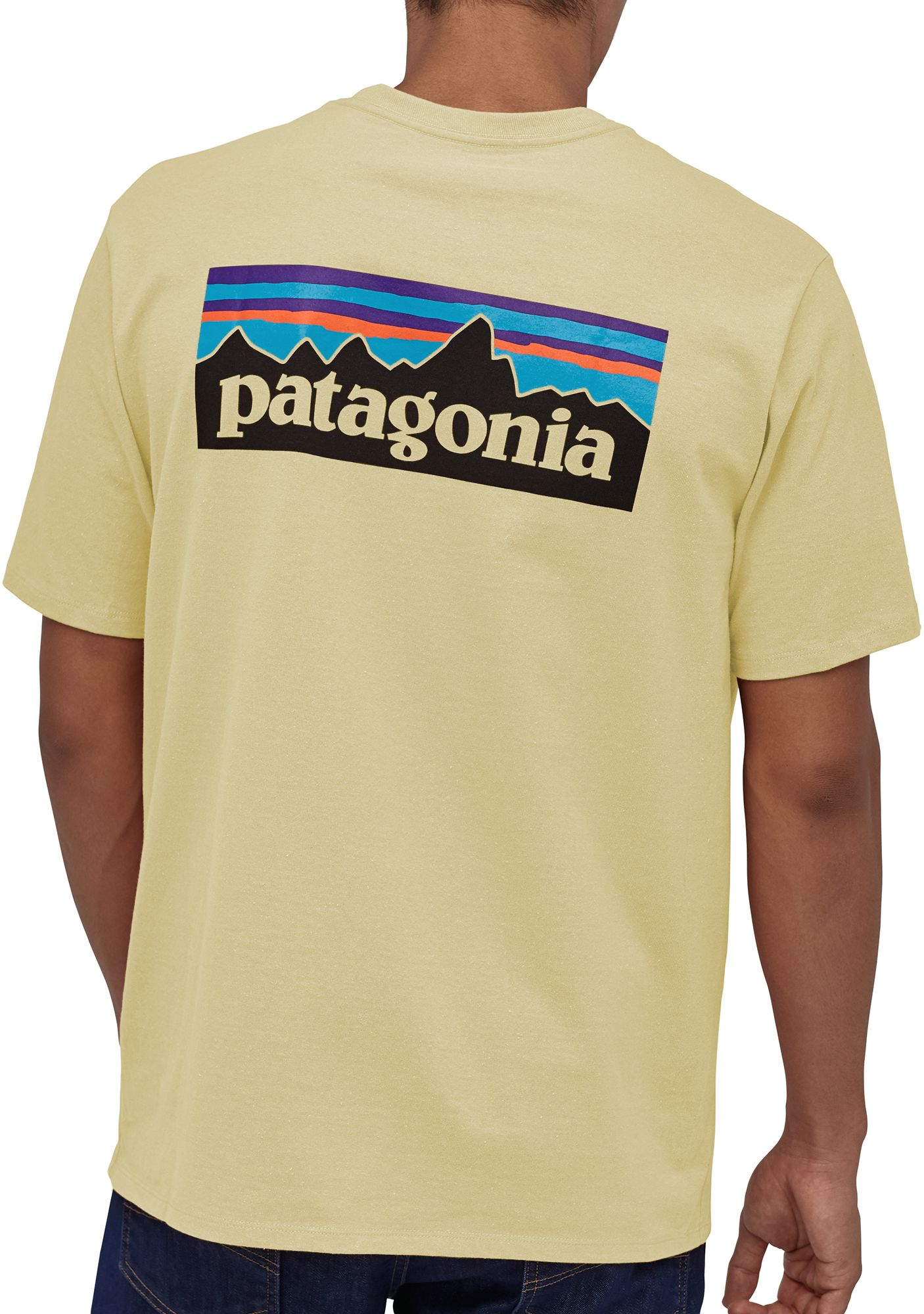 Patagonia Men's P-6 Logo Pocket 