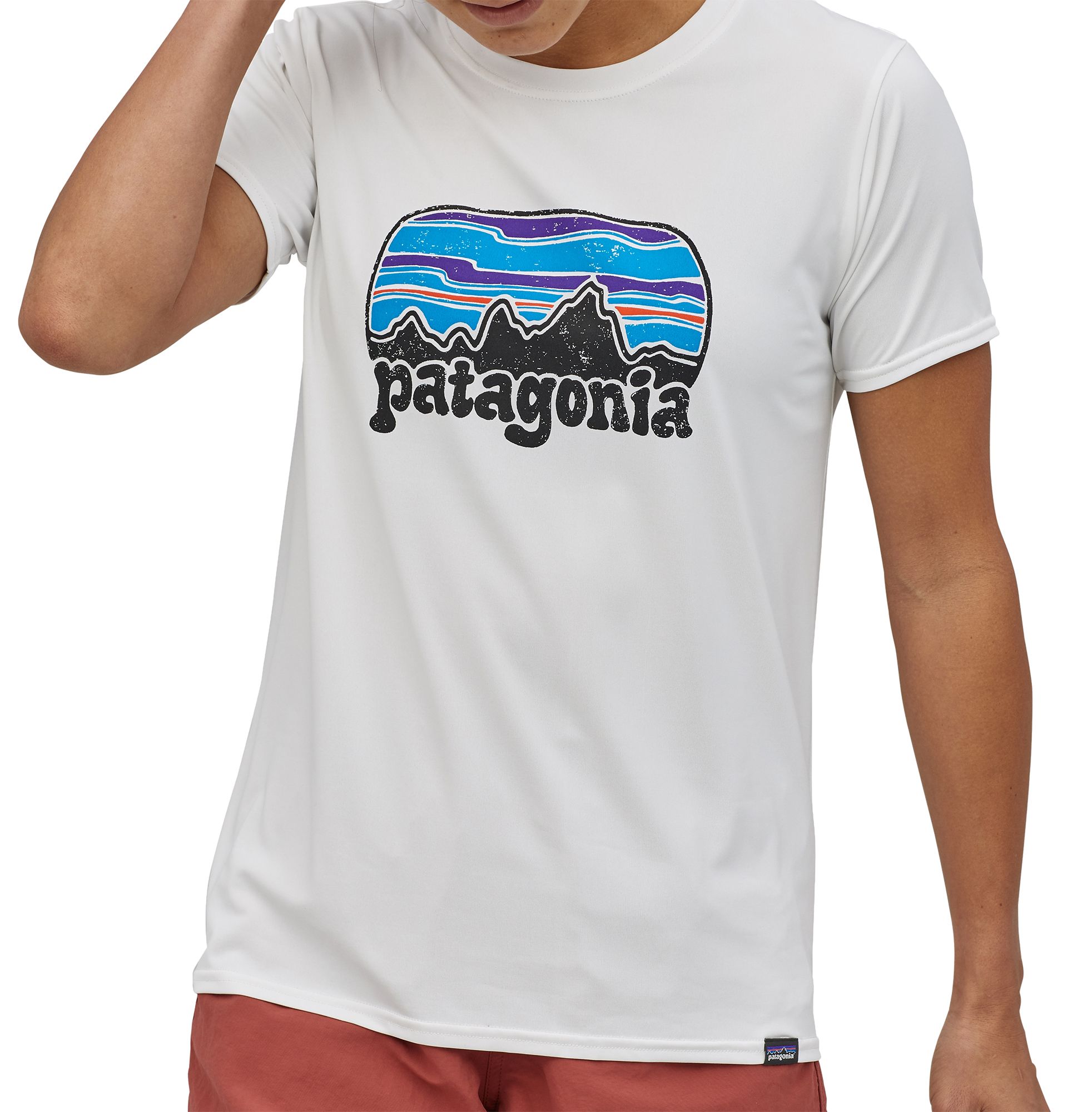 patagonia shirt dicks