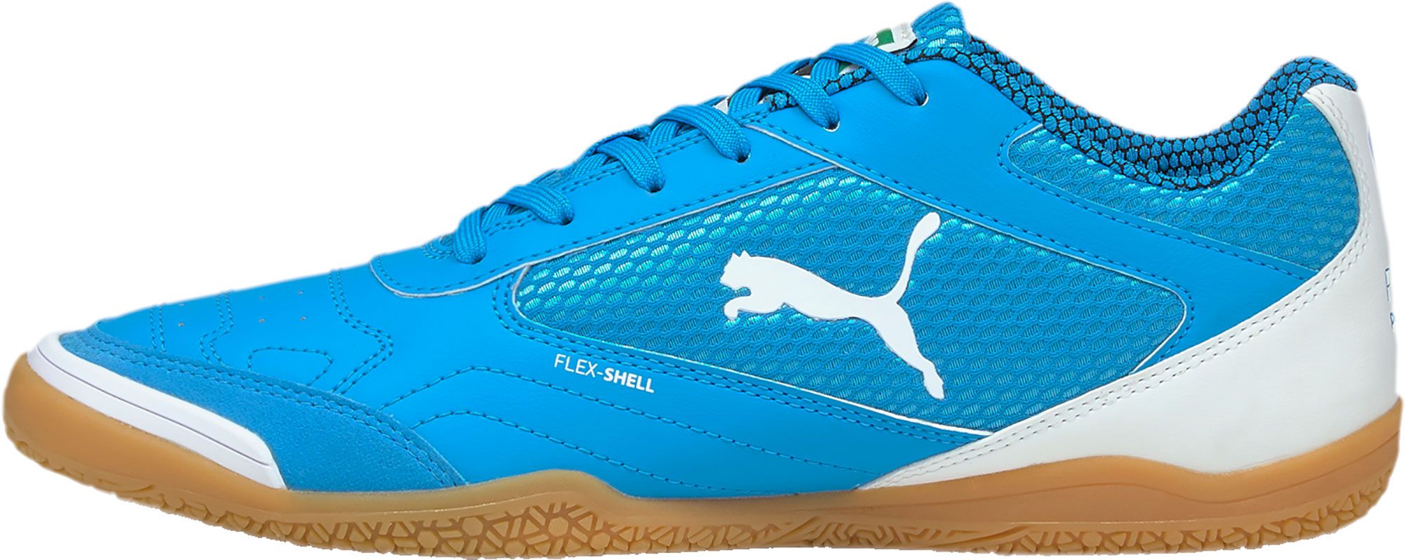 puma indoor soccer shoes