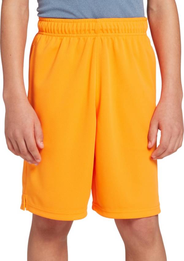 DSG Boys' Mesh Training Shorts DICK'S Sporting Goods