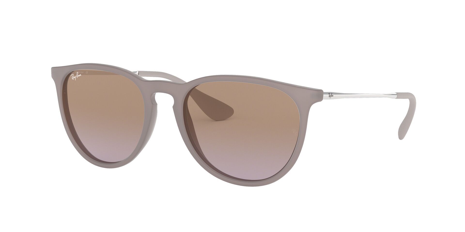 Ray-Ban Erika Classic Sunglasses product image