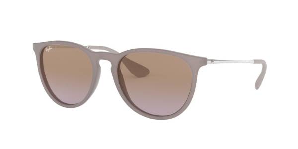 Erika classic hot sale raybans