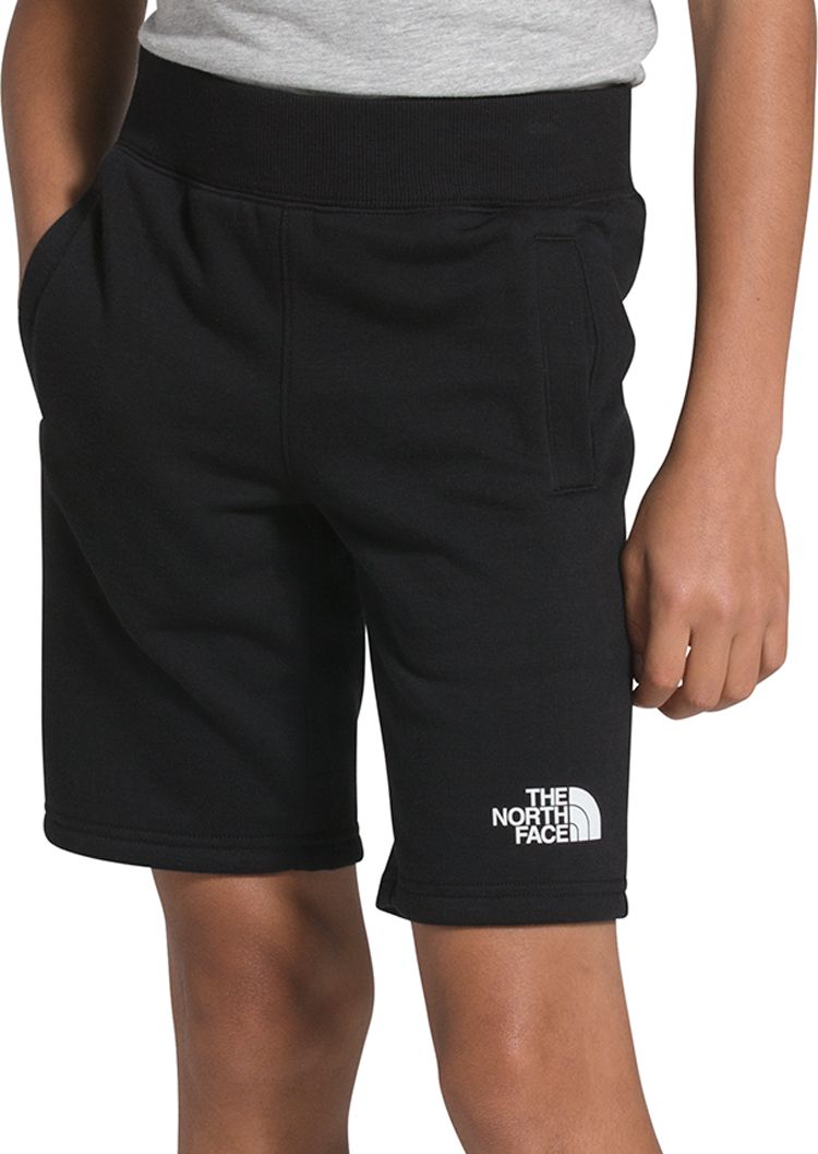 boys north face shorts