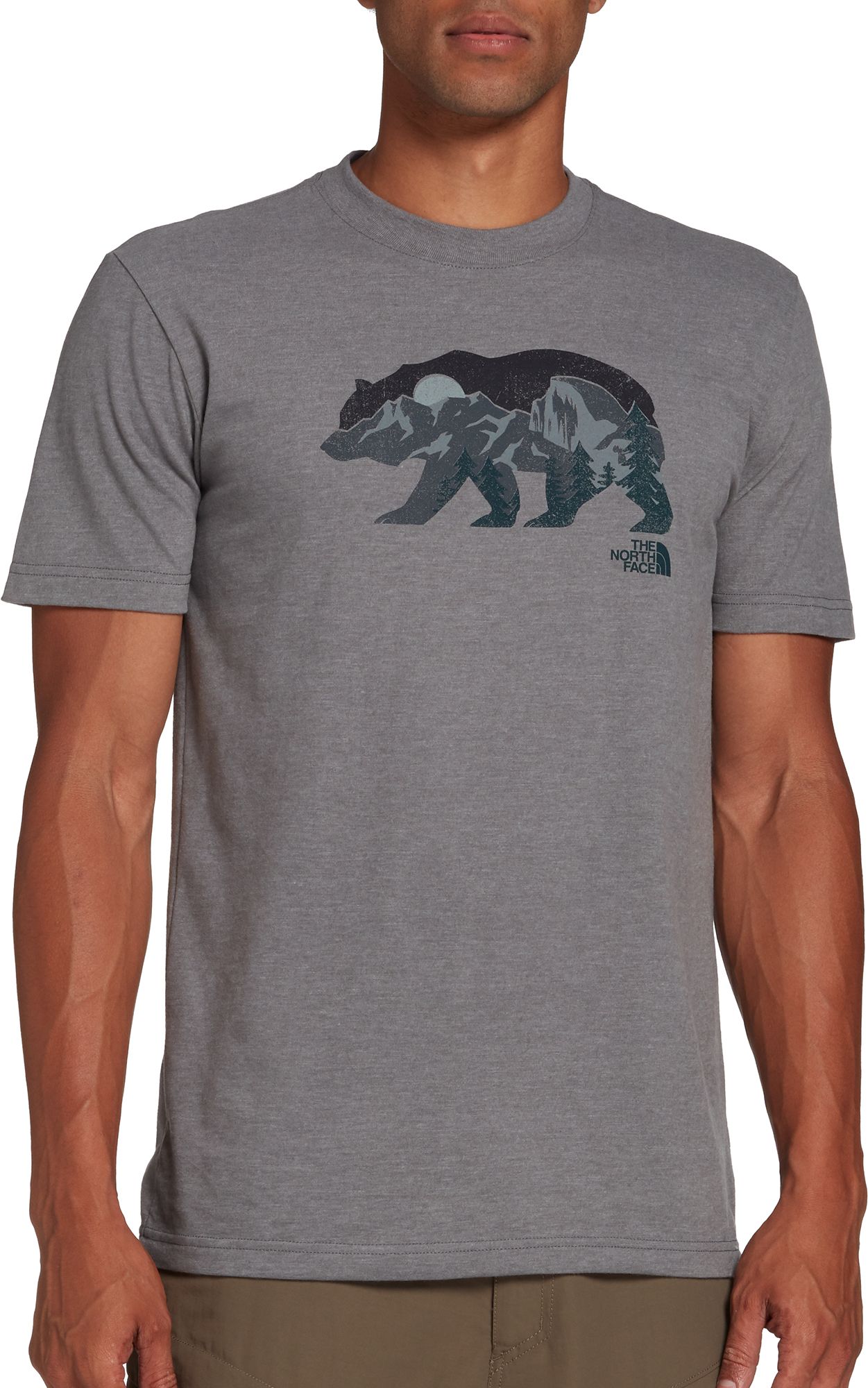 grey north face shirt