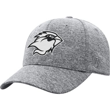 sorry, Top of the World Men's Lamar Cardinals Grey Steam 1Fit Flex Hat is currently out of stock