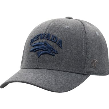 sorry, Top of the World Men's Nevada Wolf Pack Grey Alpha 1Fit FlexFit Hat is currently out of stock