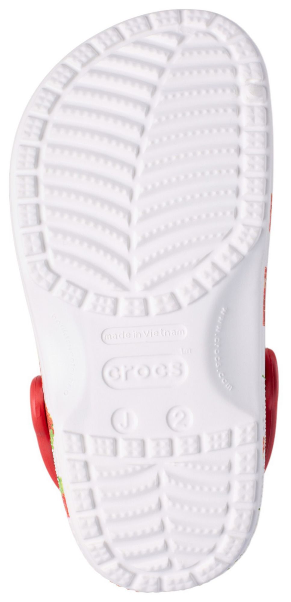 Crocs Kids Fresh Fruits Classic Clogs product image